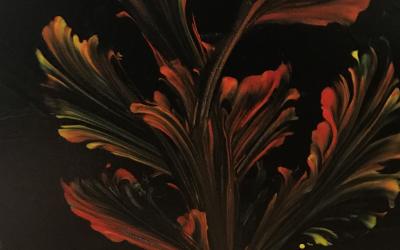 Fleur automnale sur fond noir